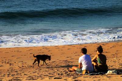 夫妻 海浪 印度洋 斯里兰卡 假日 海滩 海 整体的一部分水域