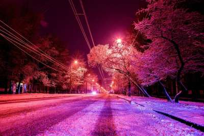 雪 街 冬季 莫斯科 树木 夜晚 外部 弗罗斯特 寒冷的
