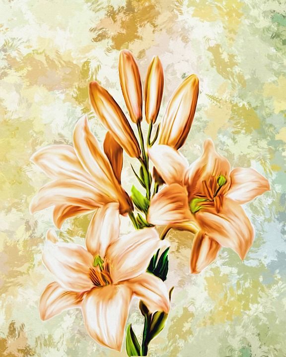 花朵 艺术品 艺术 数字艺术 数字绘画 艺术的 装饰性的 花的