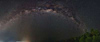 星系 银河 夜晚 全景 天空 星星 树木 灰色的天空 灰色的树