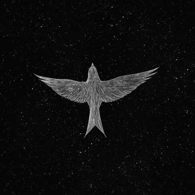 鸟 翅膀 星星 繁星点点 宇宙 星系 空间 超现实的 卡通片