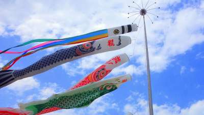 鲤鱼旗 日本 蓝天 云 屋顶 景观 天空 鲤鱼旗 鲤鱼旗