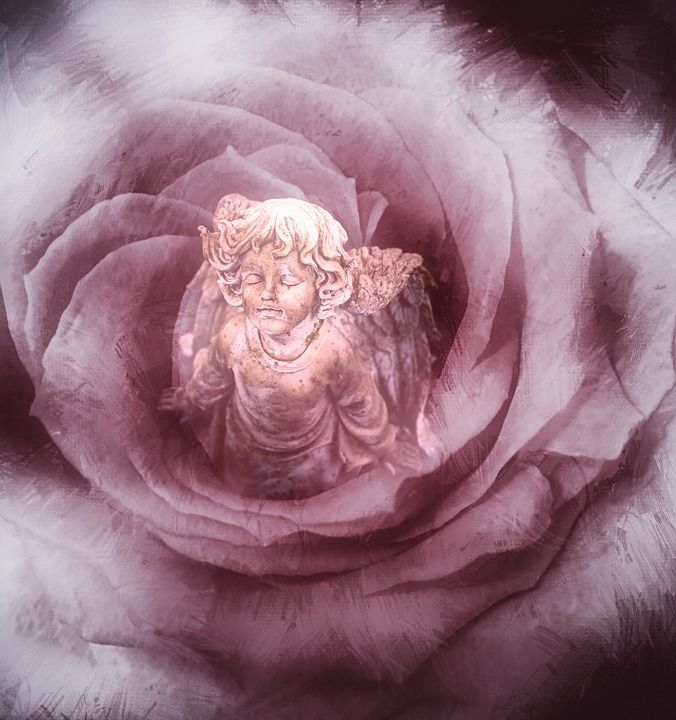 玫瑰 天使 粉色的 红色的 漂亮 花 艺术 宗教的 祈祷 美丽
