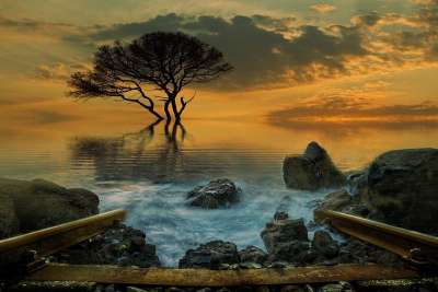 景观 幻想 幻想风景 梦 日落 水 海洋 日出 树木 自然