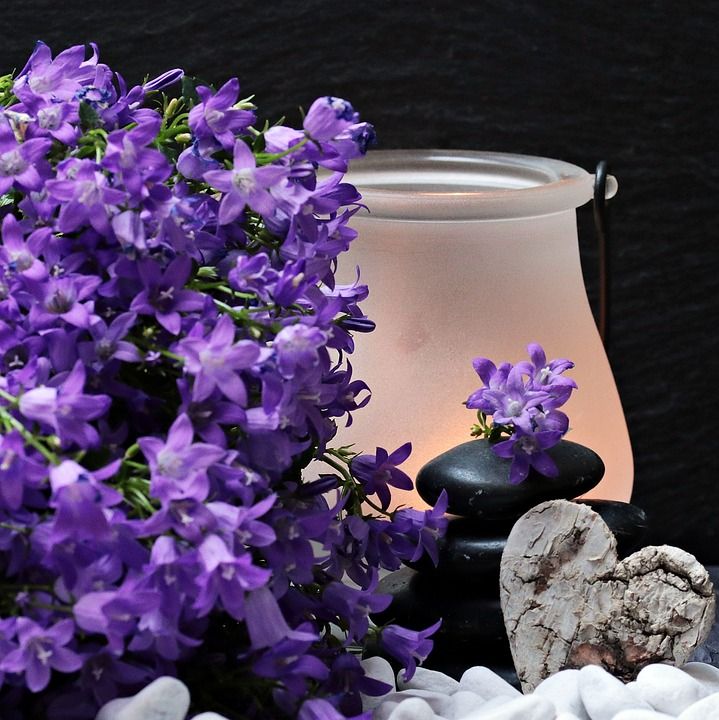 花 开花 紫色的花朵 石头 心 石塔 烛光 情绪 木心 白色的