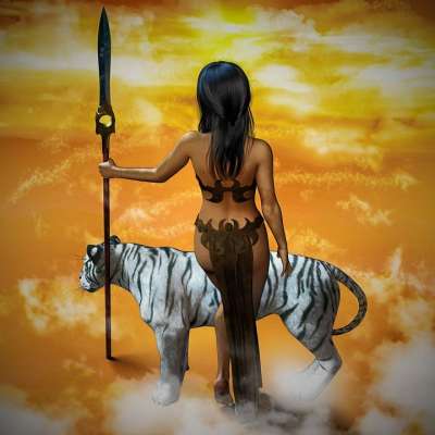 女士 老虎 矛 幻想 战士 封面 神秘 野猫 女主角 亚马逊