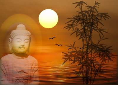 佛 佛教 冥想 宗教 亚洲 亚洲人 相信 神