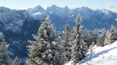 阿尔高 冬天 山 脚 雪 全景 外表