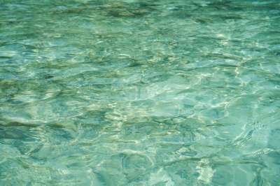 水 海洋 海 漆 江 波 天 绿色 季节 质地 水平的