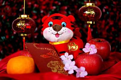 中国新的一年 老虎娃娃 传统 老虎过年 水果 花朵 传统的