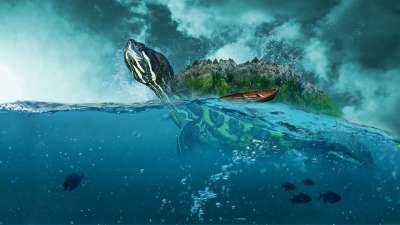 海 海洋 船 海滩 绿松石 水 岩石 波浪 鱼 乌龟 蓝色的