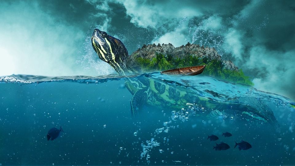 海, 海洋, 船, 海滩, 绿松石, 水, 岩石, 波浪, 鱼, 乌龟, 蓝色的