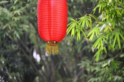 灯笼 节日 装饰 艺术 传统的