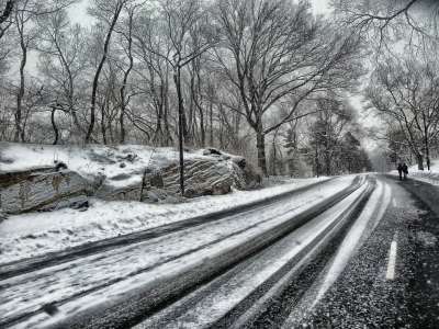 中央公园 纽约城 路 树木 冬天 雪 岩石 剪影 冰 自然