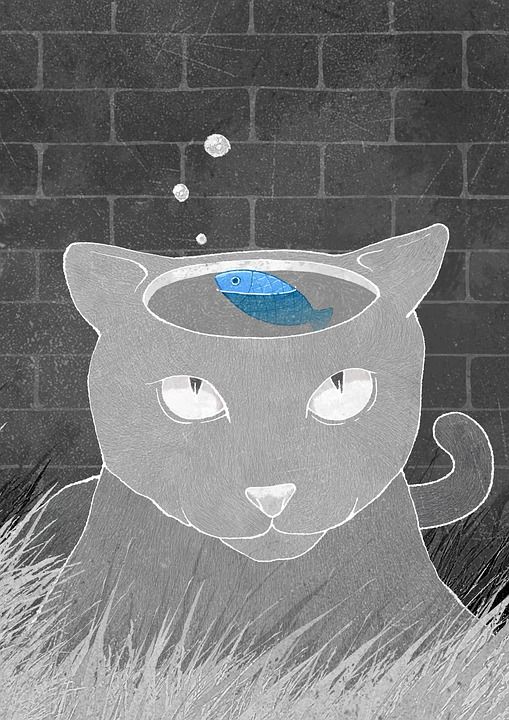 创造力 想象力 幻想 童话故事 猫 鱼 灰猫 灰色的鱼
