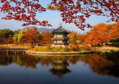 古老的 建筑的 结构 亚洲 秋天 建筑物 城堡 城市 入口