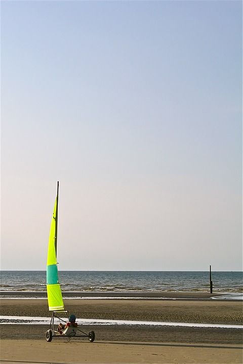 坦克 面纱 海 海滩 体育 速度 风