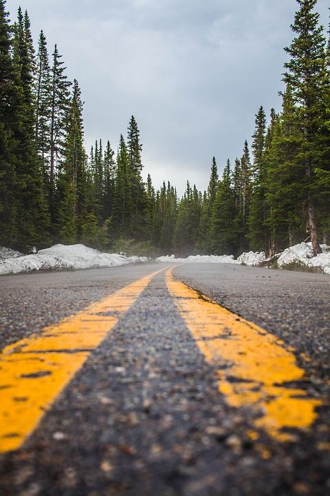 寒冷的 自然 看法 路 雪 旅行 树木 湿的 黄线
