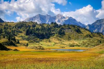河 山 阿尔卑斯山 蒂罗尔 奥地利 云 景观 树木 河岸 森林