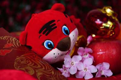 中国新的一年 老虎娃娃 传统 老虎过年 花朵 传统的 庆典