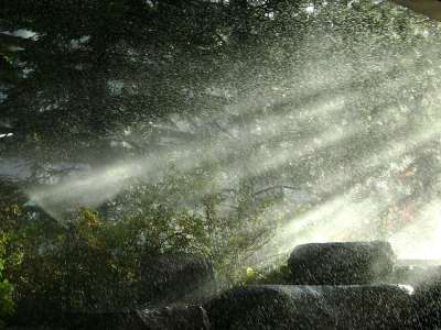 雨 喷 水 森林 树木 景观 户外 荒野 风景秀丽的 反射