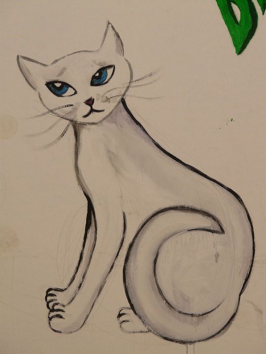 猫 画画 图片 绘画 动物 涂鸦 作画 艺术品 艺术家