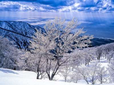 景观 霜 山 海 白神山地 行进 日本海域 世界遗产的地区 日本