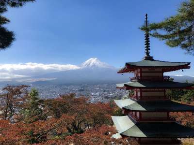 富士山 山 日本 火山 景观 富士 云 旅游 天际线 旅行