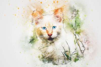 猫 动物 艺术 抽象 水彩 优质的 丰富多彩的 基蒂 T恤