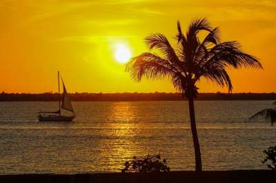 加勒比 日落 帆船 Palmtree 海洋