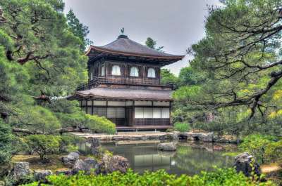 银阁寺 花园 京都 日本 自然 花朵 水 池塘 日本人 公园