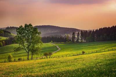 Sauerland 德国 景观 自然 草原 牧场 森林