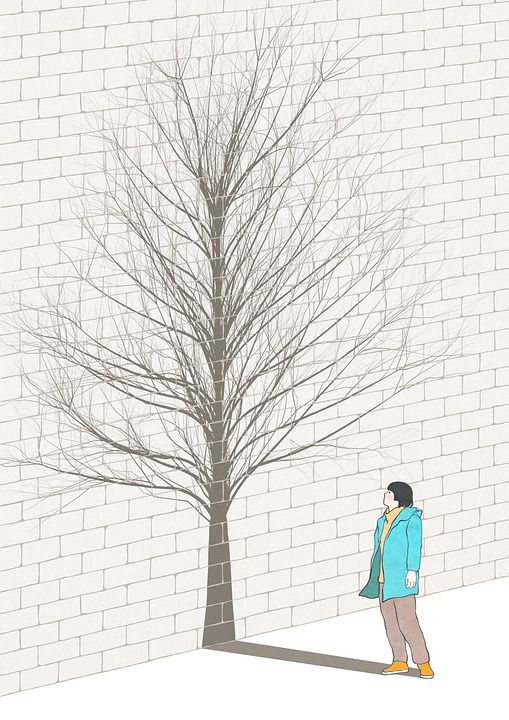 照明 想象力 创造力 画画 绘画 黑和白 公平的谈话 幻想 树