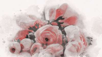 花朵 花束 牡丹 玫瑰 插花 芽 盛开 开花 绘画