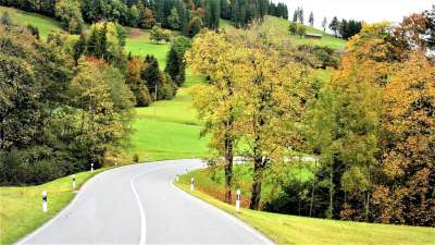 高速公路 方式 秋金 景观 森林的边缘