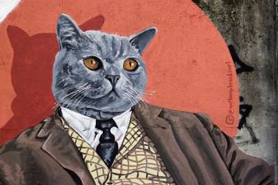 涂鸦 猫在西装 绘画 艺术品 创造力 城市的 户外的