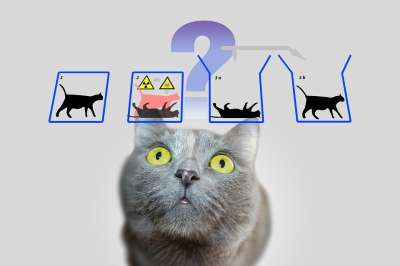 物理 薛定谔的猫 薛定谔 量子力学 悖论 猫 实验 白板 板