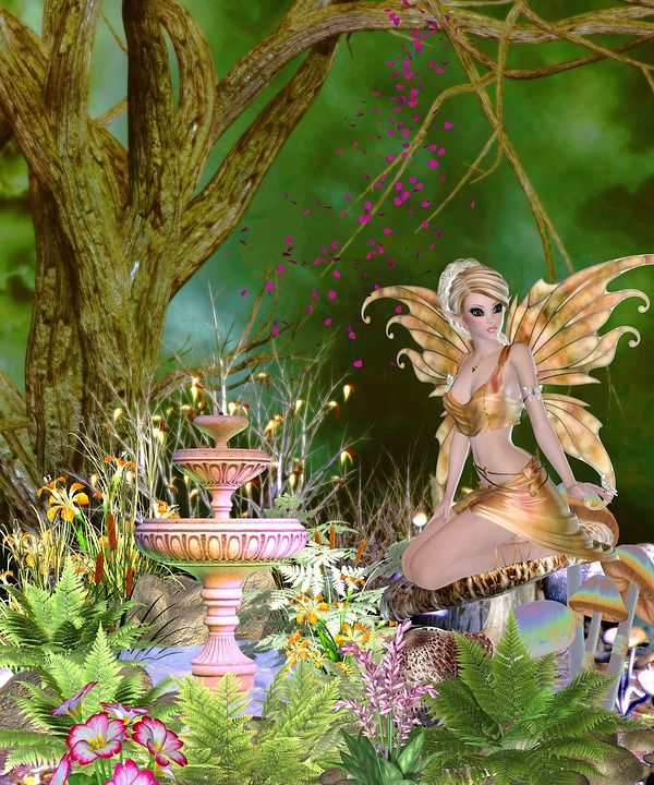 美丽的童话 水碗 幻想 夜晚 花园 等着看 独自的 森林 童话