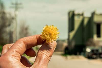 户外 自然 人们 花花公子，狮子 春天 夏天 快乐的 黄色 幸福
