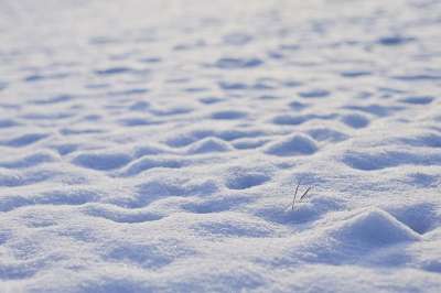 雪 寒冷的 冬天 冬天的一天 霜 白色的 脚印 积雪 闪光