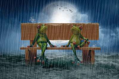 操纵 青蛙 长椅 海洋 大雨 暴风雨云 月亮 鸟 蓝色雨
