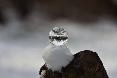自然 景观 森林 玻璃珠 玻璃 球 镜子 季节 冬季 雪