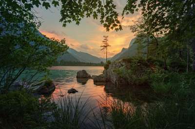 自然 水域 树 景观 湖 反射 日落 夏天 全景 田园诗般的