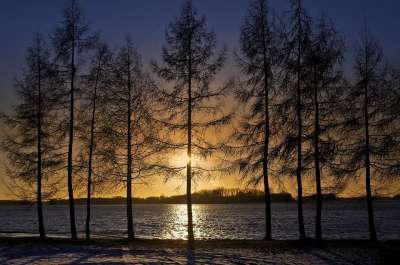 湖 树木 性质 景观 水 波兰 风景 日落
