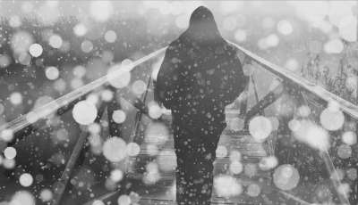 人 桥 雪 降雪 冬天 散景 网络 情绪 轮廓
