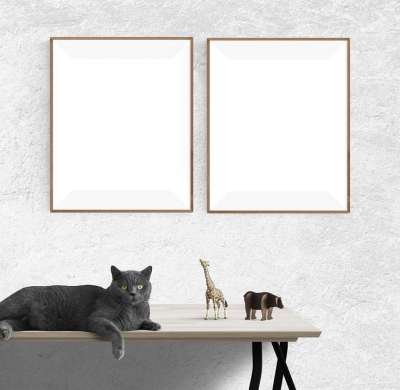 海报 框架 猫 玩具 桌子 墙
