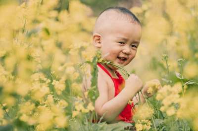 孩子 男孩 花朵 草地 可爱的 年轻 童年 婴儿 学步的儿童