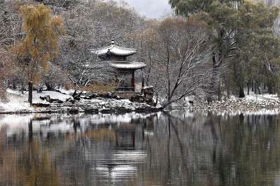 湖 雪 亭 森林 树木 采取 深秋 自然 景观 公园