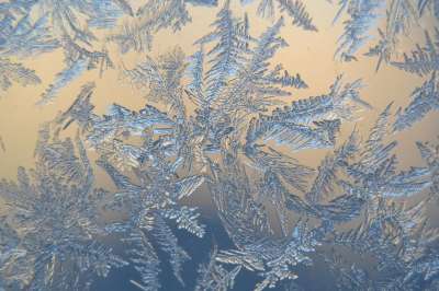 雪晶 冬天 冰冷的 冻结 宏