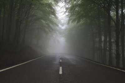 未来 恐惧 不确定性 路径 高速公路 路 方式 森林 树木 光